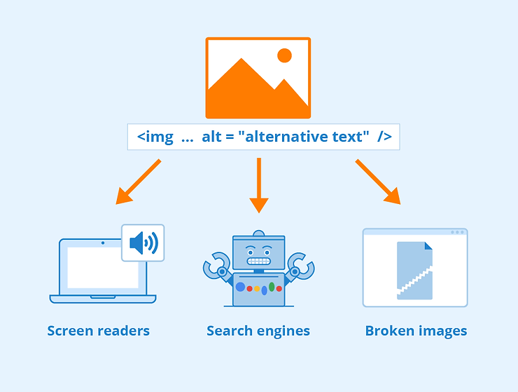 What is the ALT Attribute in SEO and How Can it Help?