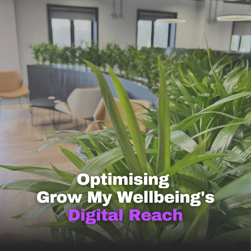 Grow My Wellbeing Website Revamp | SEO & WooCommerce