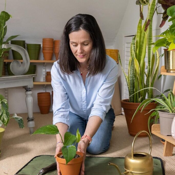 Grow My Wellbeing new website