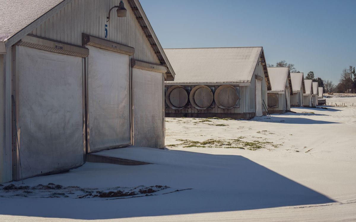 Why is Google’s EAT Algorithm important for the Self-Storage Industry?